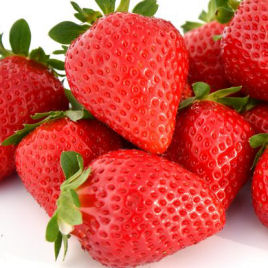 fragaria vesca favori